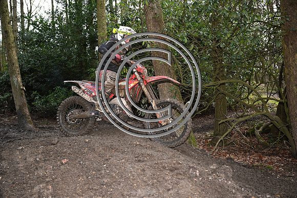 DSC_9567