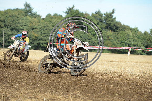 DSC_7704
