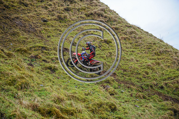 DSC_2321