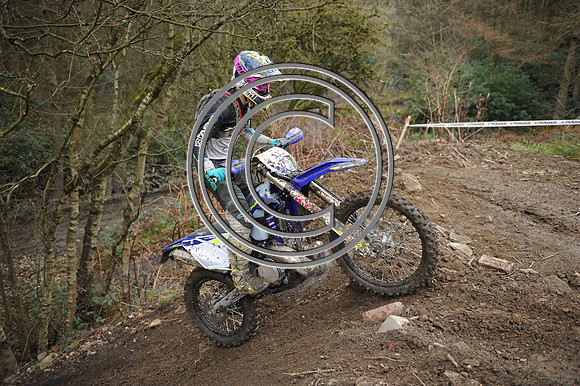 DSC_5568