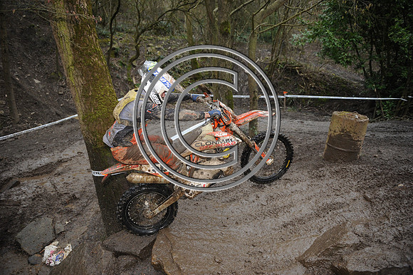 DSC_6130