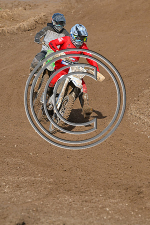 DSC_8223