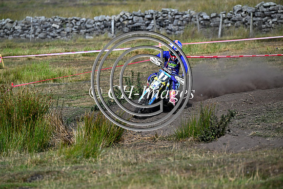 DSC_6312