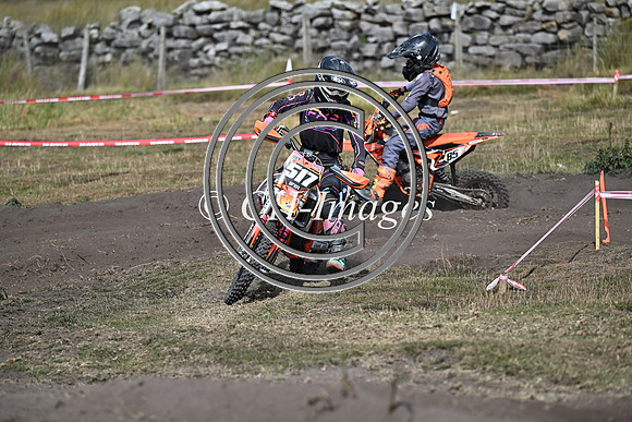DSC_6331