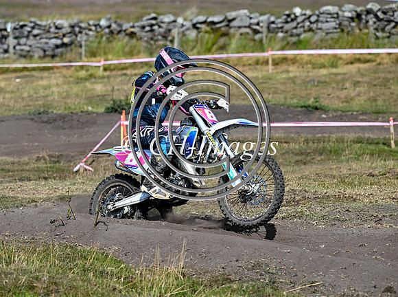 DSC_6342