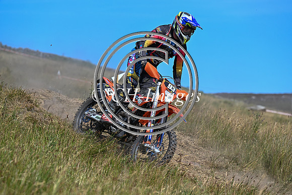 DSC_6682