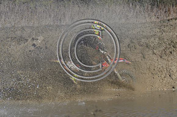 DSC_9902