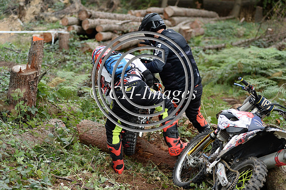DSC_3113