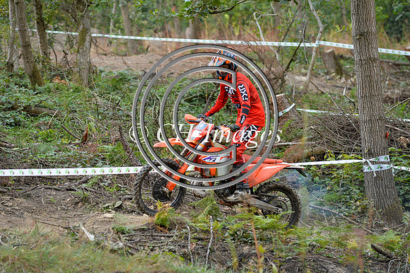 DSC_3177