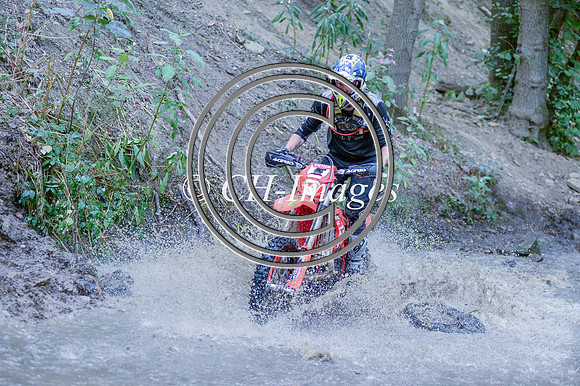DSC_3424