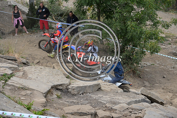 DSC_3781