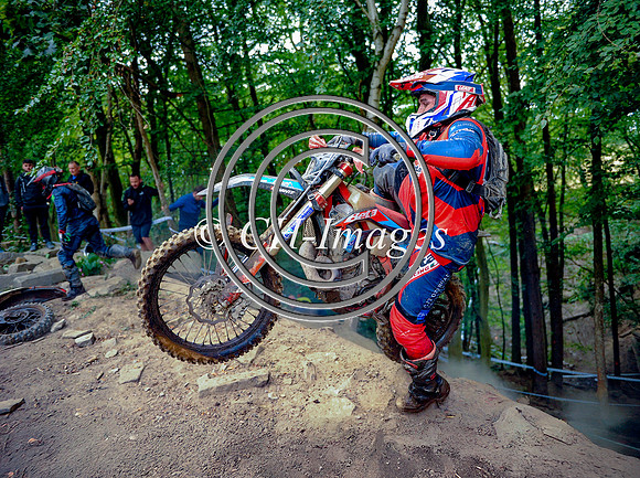 DSC_9204-Edit