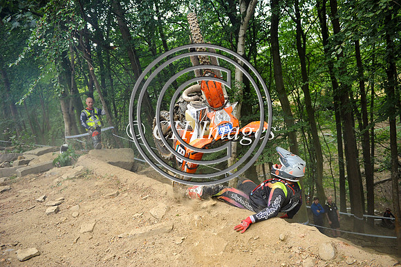 DSC_9310