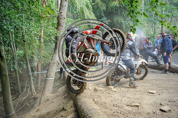 DSC_9393