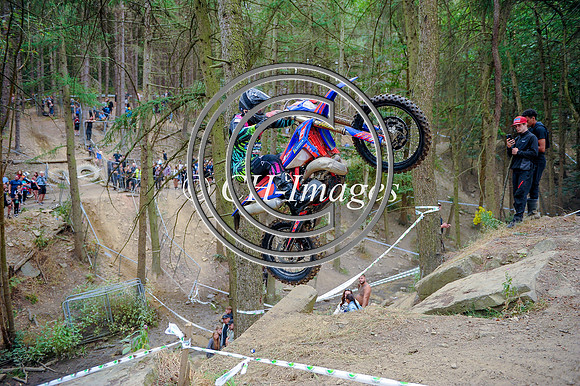 DSC_9558