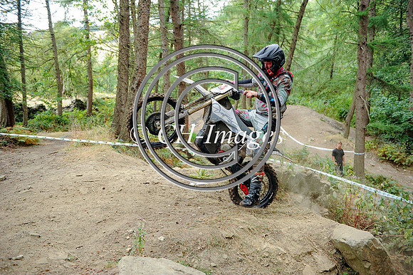 DSC_9590