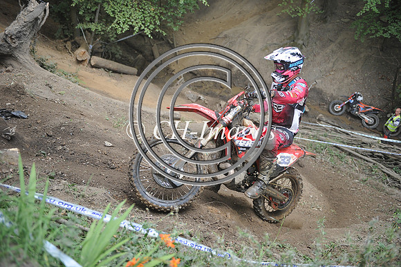 DSC_9736