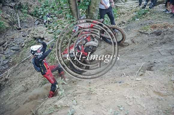 DSC_9803