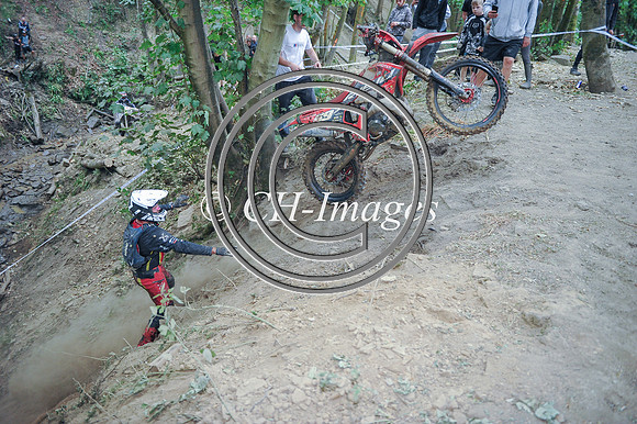 DSC_9806