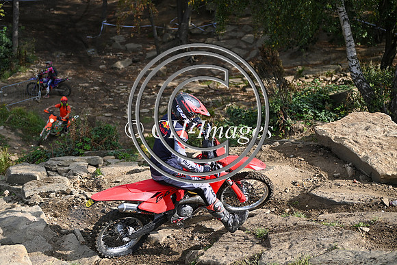 DSC_7206