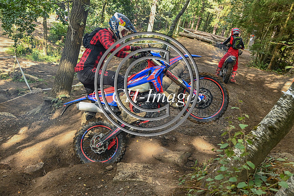 DSC_7216