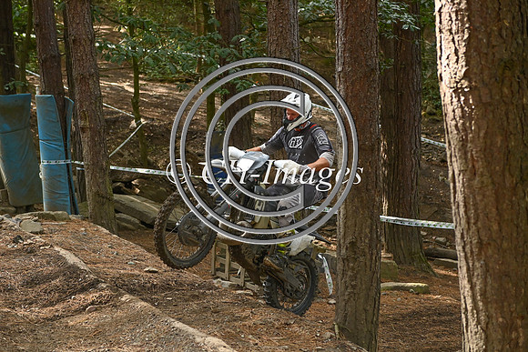 DSC_7310
