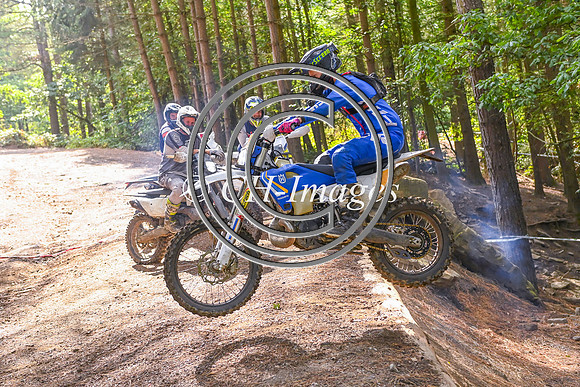 DSC_7318
