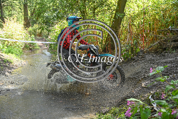 DSC_7381