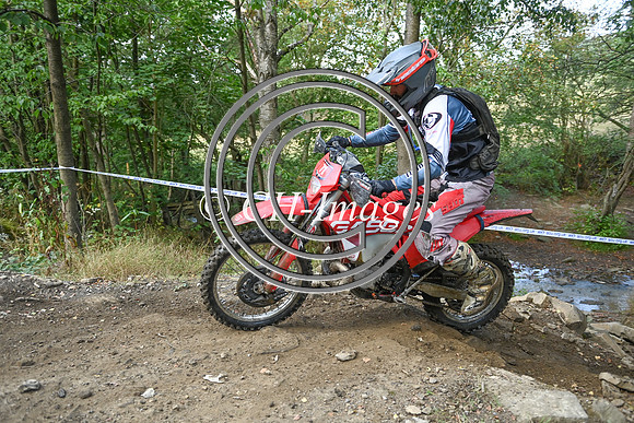DSC_7446