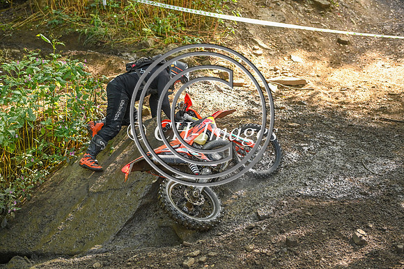 DSC_7485
