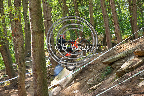 IMG_5974