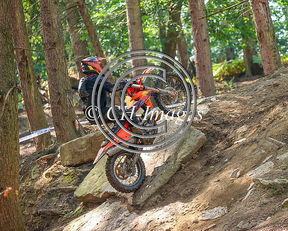 IMG_5991-Edit
