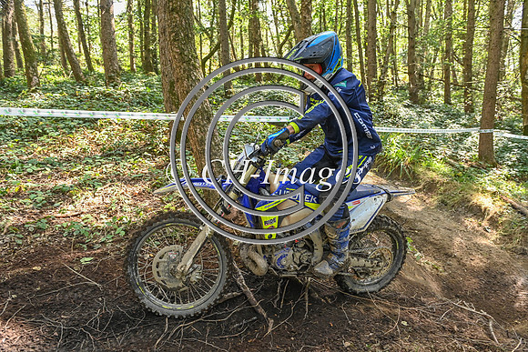 DSC_7598