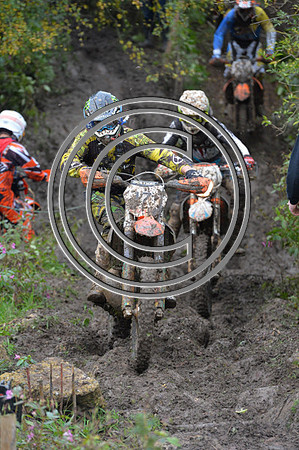 DSC_9810