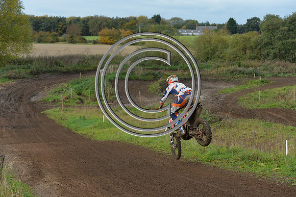 DSC_9917