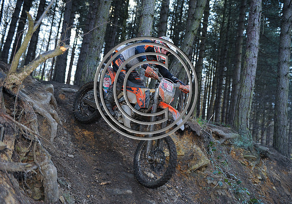 DSC_2524