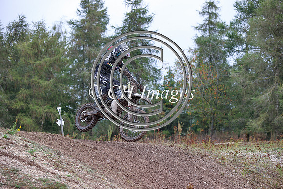 IMG_6230
