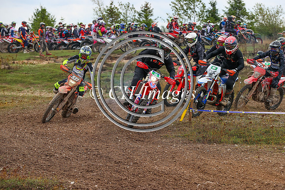 IMG_6511