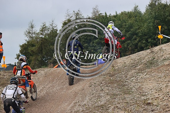 IMG_6528