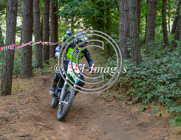 DSC_6348-Edit