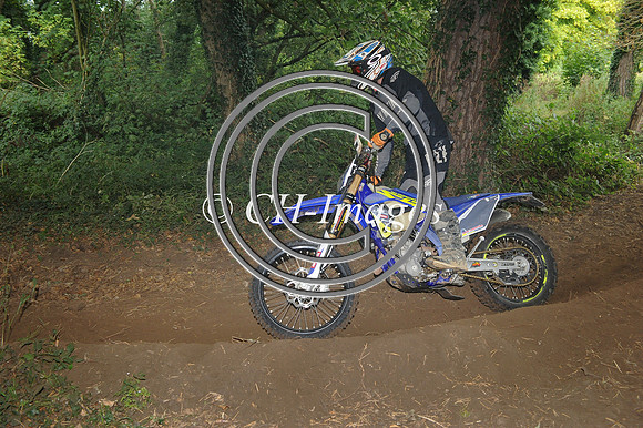 DSC_0981