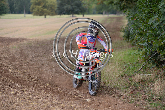 DSC_7884