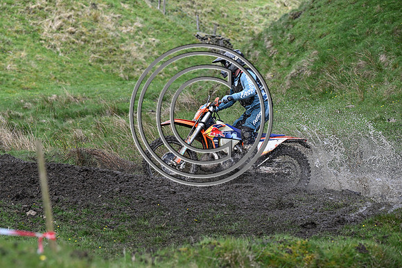 DSC_4523