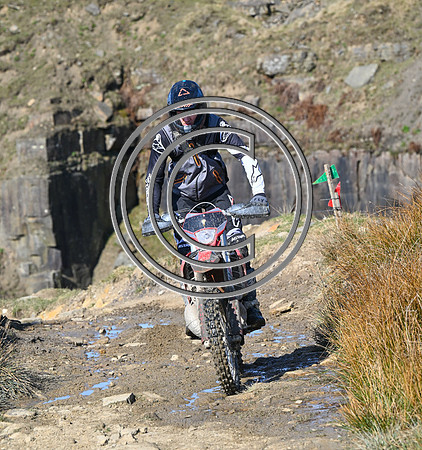 DSC_0679