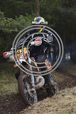 DSC_2611