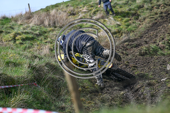 DSC_4579
