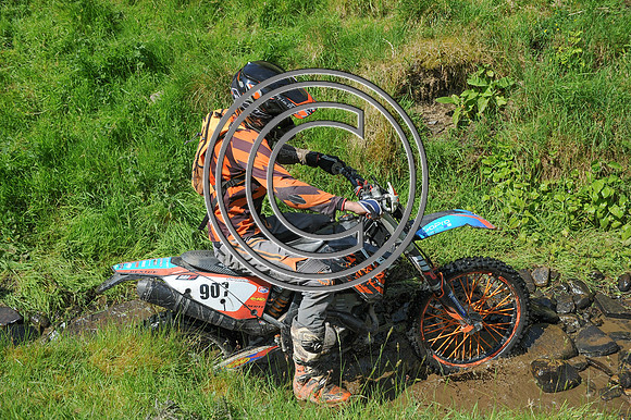 DSC_0648