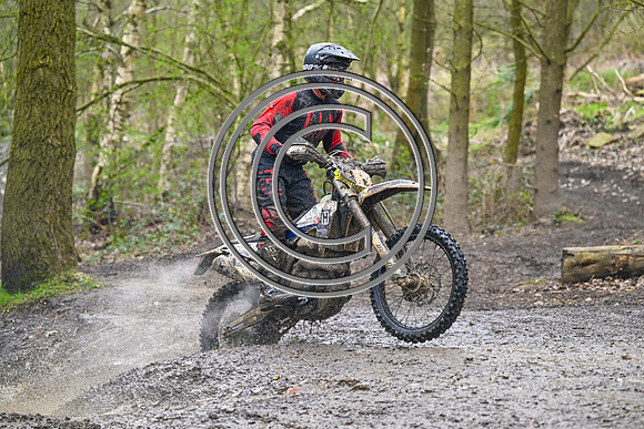 DSC_0908