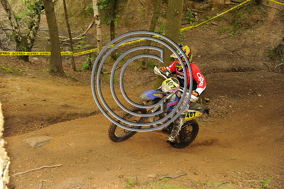 DSC_7139