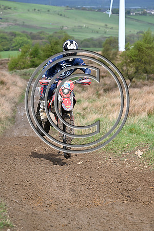 DSC_4311